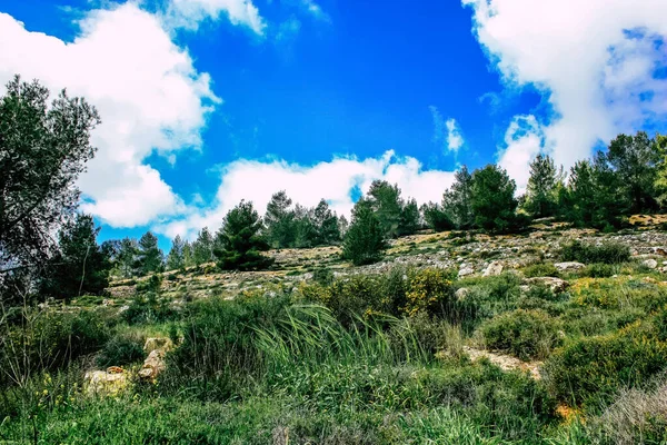 Panorama Vista Das Colinas Jerusalém Vale Branco Cume Montanha Branca — Fotografia de Stock