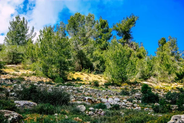 Panorama Och Utsikt Över Jerusalem Kullar Och Den Vita Dalen — Stockfoto