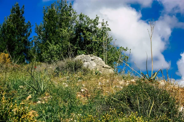 Panorama Pohled Jeruzalémské Kopce Bílé Údolí Bílý Hřeben Hory Který — Stock fotografie