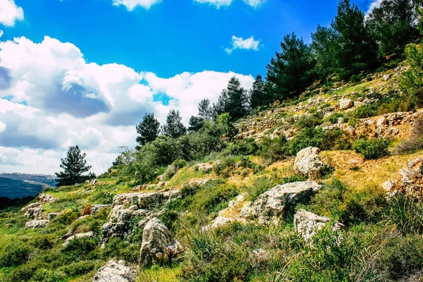 Panorama Pohled Jeruzalémské Kopce Bílé Údolí Bílý Hřeben Hory Který — Stock fotografie