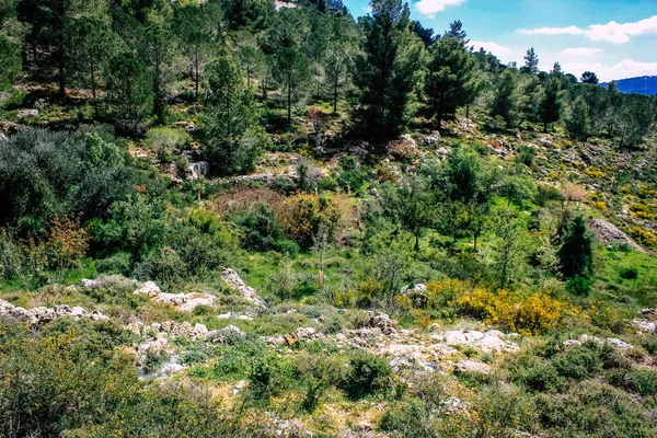 파노라마와 예루살렘 구릉들과 화이트 벨리의 계곡을 산등성이 개발에서 구원되어 경치를 — 스톡 사진