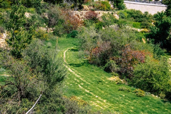 Panorama Vista Sulle Colline Gerusalemme Sulla Valle Bianca Crinale Bianco — Foto Stock