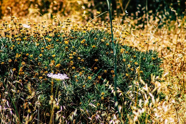 Panorama Pohled Jeruzalémské Kopce Bílé Údolí Bílý Hřeben Hory Který — Stock fotografie