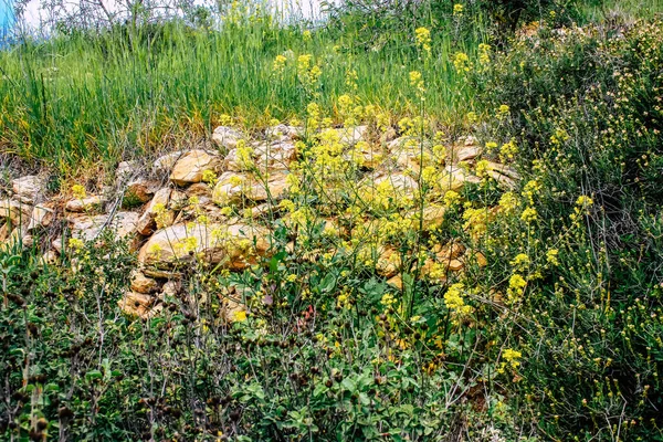 Panorama Pohled Jeruzalémské Kopce Bílé Údolí Bílý Hřeben Hory Který — Stock fotografie