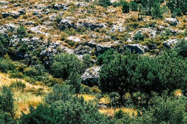 Panorama Pohled Jeruzalémské Kopce Bílé Údolí Bílý Hřeben Hory Který — Stock fotografie