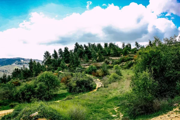 俯瞰耶路撒冷山丘和白谷的全景和景色 俯瞰该山谷的白色山脊从西面城市发展中解救出来 从而提供了自然景观 — 图库照片