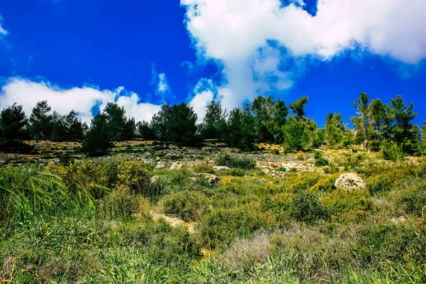 Panorama Vista Das Colinas Jerusalém Vale Branco Cume Montanha Branca — Fotografia de Stock