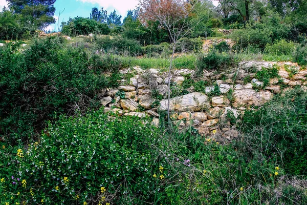 Panorama Uitzicht Heuvels Van Jeruzalem Witte Vallei Witte Bergrug Die — Stockfoto