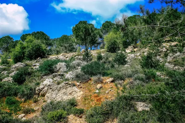 Πανόραμα Και Θέα Των Λόφων Της Ιερουσαλήμ Και Της Λευκής — Φωτογραφία Αρχείου