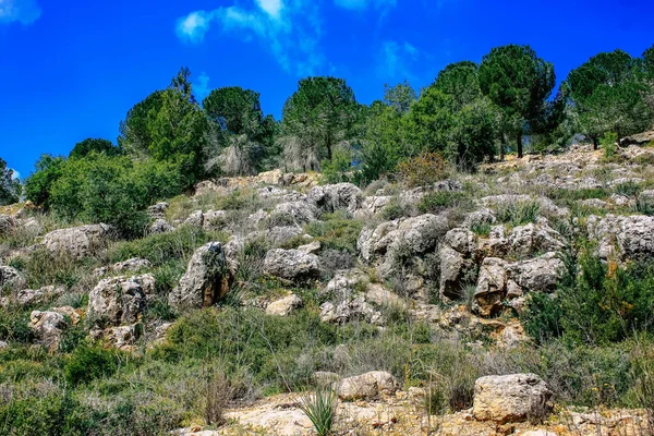 Panorama Och Utsikt Över Jerusalem Kullar Och Den Vita Dalen — Stockfoto