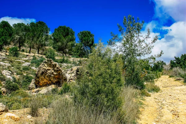 Panorama Uitzicht Heuvels Van Jeruzalem Witte Vallei Witte Bergrug Die — Stockfoto