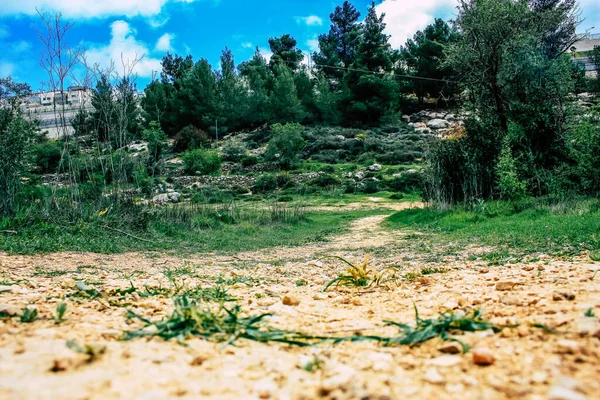 Panorama Uitzicht Heuvels Van Jeruzalem Witte Vallei Witte Bergrug Die — Stockfoto