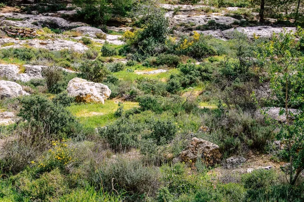 Panorama Uitzicht Heuvels Van Jeruzalem Witte Vallei Witte Bergrug Die — Stockfoto