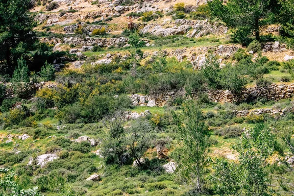 Panorama Vista Das Colinas Jerusalém Vale Branco Cume Montanha Branca — Fotografia de Stock