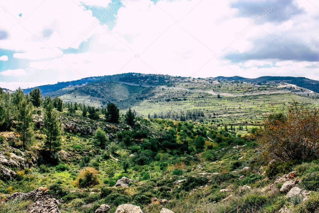 Panorama and view of the Jerusalem hills and the White Valley, The white mountain ridge that overlooks the valley was saved from westward urban development, thus offering a scenic nature views