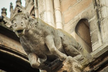 Reims France 24 Şubat 2021 Notre Dame de Reims Katedrali 'nin dış cephesi, Fransa' nın Grand Est bölgesindeki tarihi bir anıt.