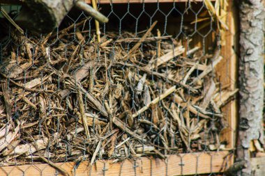 Reims France February 24, 2021 Empty public garden of the city of Reims during the coronavirus pandemic affecting France