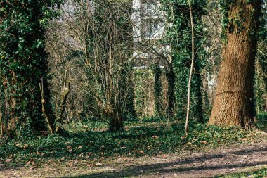 Reims France February 24, 2021 Empty public garden of the city of Reims during the coronavirus pandemic affecting France