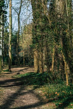 Reims France February 24, 2021 Empty public garden of the city of Reims during the coronavirus pandemic affecting France