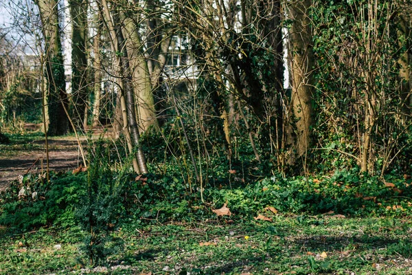 Reims France February 24, 2021 Empty public garden of the city of Reims during the coronavirus pandemic affecting France