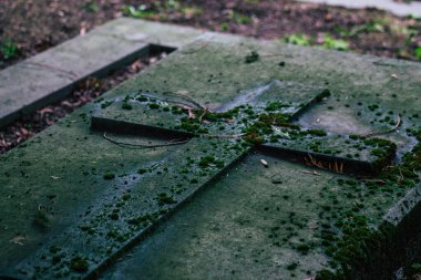 Reims France 04 Mart 2021 Kuzey Mezarlığı, 18. yüzyılın sonunda inşa edilmiş ve kentte kendilerini öne çıkaran vatandaşların çoğu kalıntıları içerir.
