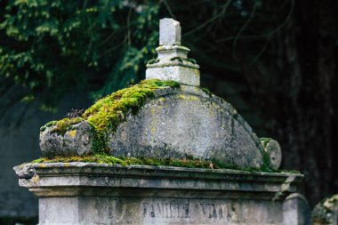 Reims France 04 Mart 2021 Kuzey Mezarlığı, 18. yüzyılın sonunda inşa edilmiş ve kentte kendilerini öne çıkaran vatandaşların çoğu kalıntıları içerir.