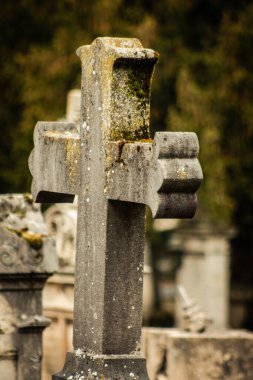 Reims France 04 Mart 2021 Kuzey Mezarlığı, 18. yüzyılın sonunda inşa edilmiş ve kentte kendilerini öne çıkaran vatandaşların çoğu kalıntıları içerir.