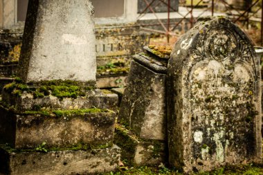 Reims France 04 Mart 2021 Kuzey Mezarlığı, 18. yüzyılın sonunda inşa edilmiş ve kentte kendilerini öne çıkaran vatandaşların çoğu kalıntıları içerir.