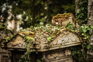 Reims France 04 Mart 2021 Kuzey Mezarlığı, 18. yüzyılın sonunda inşa edilmiş ve kentte kendilerini öne çıkaran vatandaşların çoğu kalıntıları içerir.