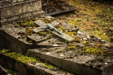 Reims France 04 Mart 2021 Kuzey Mezarlığı, 18. yüzyılın sonunda inşa edilmiş ve kentte kendilerini öne çıkaran vatandaşların çoğu kalıntıları içerir.