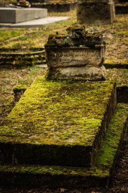 Reims France 04 Mart 2021 Kuzey Mezarlığı, 18. yüzyılın sonunda inşa edilmiş ve kentte kendilerini öne çıkaran vatandaşların çoğu kalıntıları içerir.