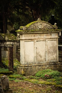 Reims France 04 Mart 2021 Kuzey Mezarlığı, 18. yüzyılın sonunda inşa edilmiş ve kentte kendilerini öne çıkaran vatandaşların çoğu kalıntıları içerir.