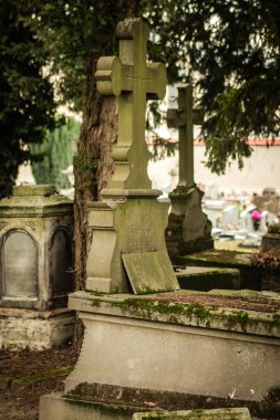 Reims France 04 Mart 2021 Kuzey Mezarlığı, 18. yüzyılın sonunda inşa edilmiş ve kentte kendilerini öne çıkaran vatandaşların çoğu kalıntıları içerir.