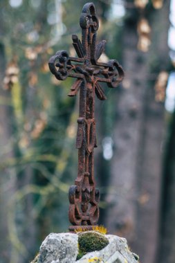 Reims France 04 Mart 2021 Kuzey Mezarlığı, 18. yüzyılın sonunda inşa edilmiş ve kentte kendilerini öne çıkaran vatandaşların çoğu kalıntıları içerir.