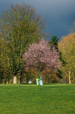 Fransa 'yı 15 Mart 2021' de Coronavirus salgını sırasında Fransa 'yı etkileyen Reims şehrinin boş bir halk bahçesi haline getirdi.