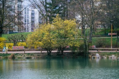 Fransa 'yı 15 Mart 2021' de Coronavirus salgını sırasında Fransa 'yı etkileyen Reims şehrinin boş bir halk bahçesi haline getirdi.