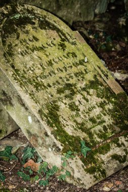 Reims şehrinin eski mezarlığına 20 Mart 2021 'de Fransa' yı toprağa verdi.