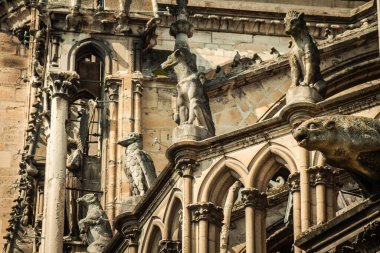 Fransa 'yı 20 Nisan 2021' de, Fransa 'nın Grand Est bölgesindeki tarihi bir eser olan Notre Dame de Reims katedralinin dış cephesine yerleştirdi.