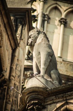 Fransa 'yı 20 Nisan 2021' de, Fransa 'nın Grand Est bölgesindeki tarihi bir eser olan Notre Dame de Reims katedralinin dış cephesine yerleştirdi.