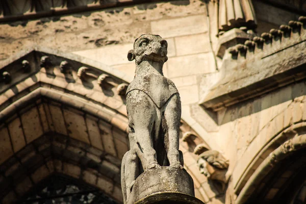 Reims Francie Dubna 2021 Gargoyle Vnější Fasádě Katedrály Notre Dame — Stock fotografie