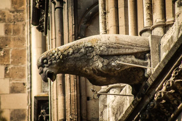 Reims Frankrike April 2021 Gargoyle Fasaden Notre Dame Reims Katedralen — Stockfoto