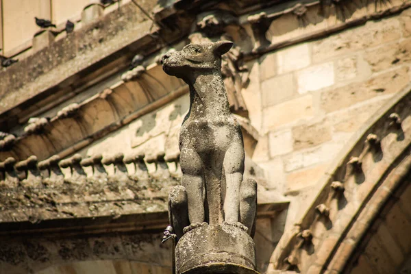 Reims Frankrike April 2021 Gargoyle Fasaden Notre Dame Reims Katedralen — Stockfoto