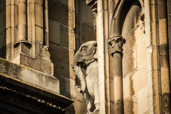Reims Francia Aprile 2021 Gargoyle Sulla Facciata Esterna Della Cattedrale — Foto Stock