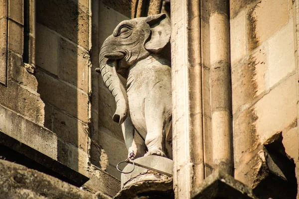 Reims Francie Dubna 2021 Gargoyle Vnější Fasádě Katedrály Notre Dame — Stock fotografie