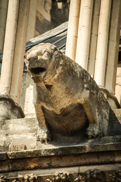 Reims Francie Dubna 2021 Gargoyle Vnější Fasádě Katedrály Notre Dame — Stock fotografie