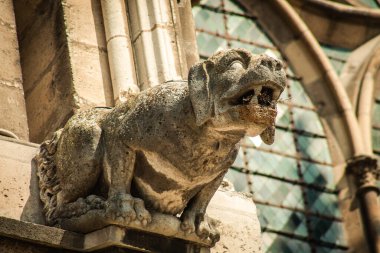 Fransa 'yı 20 Nisan 2021' de, Fransa 'nın Grand Est bölgesindeki tarihi bir eser olan Notre Dame de Reims katedralinin dış cephesine yerleştirdi.