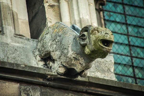 Reims França Abril 2021 Gárgula Fachada Exterior Catedral Notre Dame — Fotografia de Stock