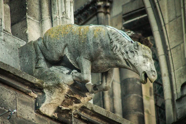 Reims Frankrike April 2021 Gargoyle Fasaden Notre Dame Reims Katedralen — Stockfoto