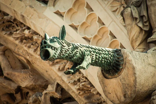 Reims Francie Dubna 2021 Gargoyle Vnější Fasádě Katedrály Notre Dame — Stock fotografie