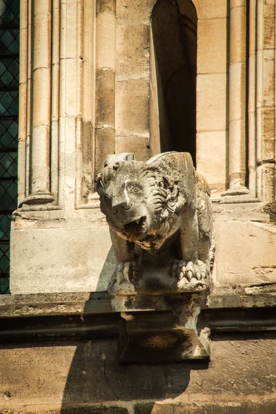 Reims Francie Dubna 2021 Gargoyle Vnější Fasádě Katedrály Notre Dame — Stock fotografie